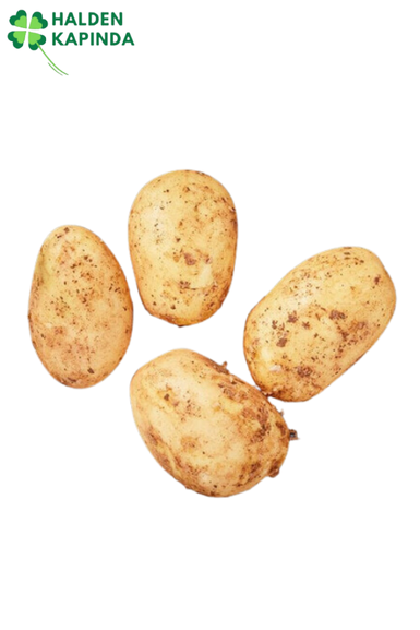 Patates Kızartmalık